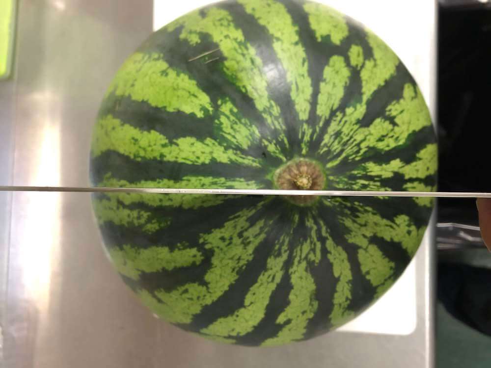 スイカについて