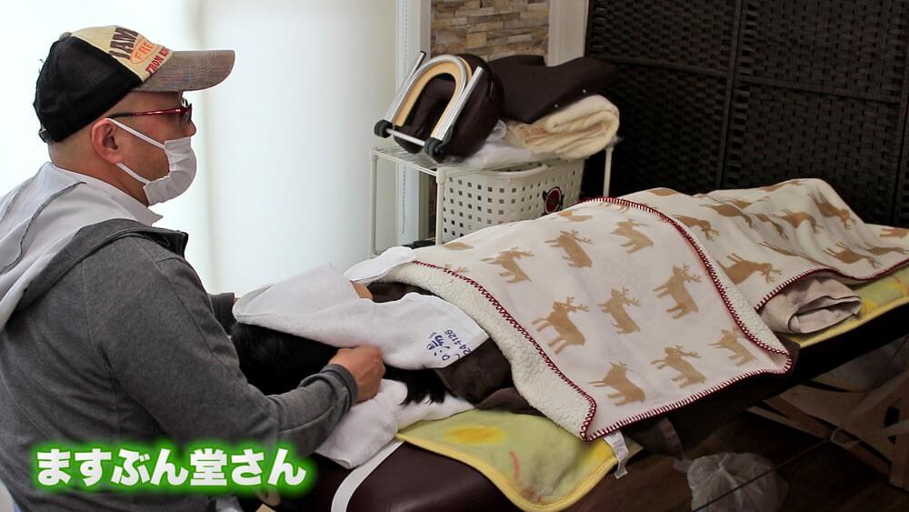 第2回マルナカマルシェ