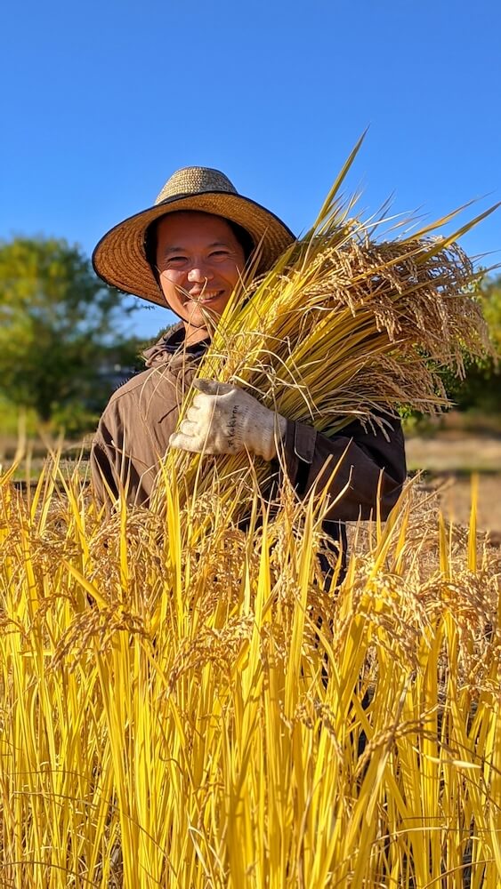 第5回　マルナカマルシェ開催です！　”今年はタイル名称統一100周年だよ！”
