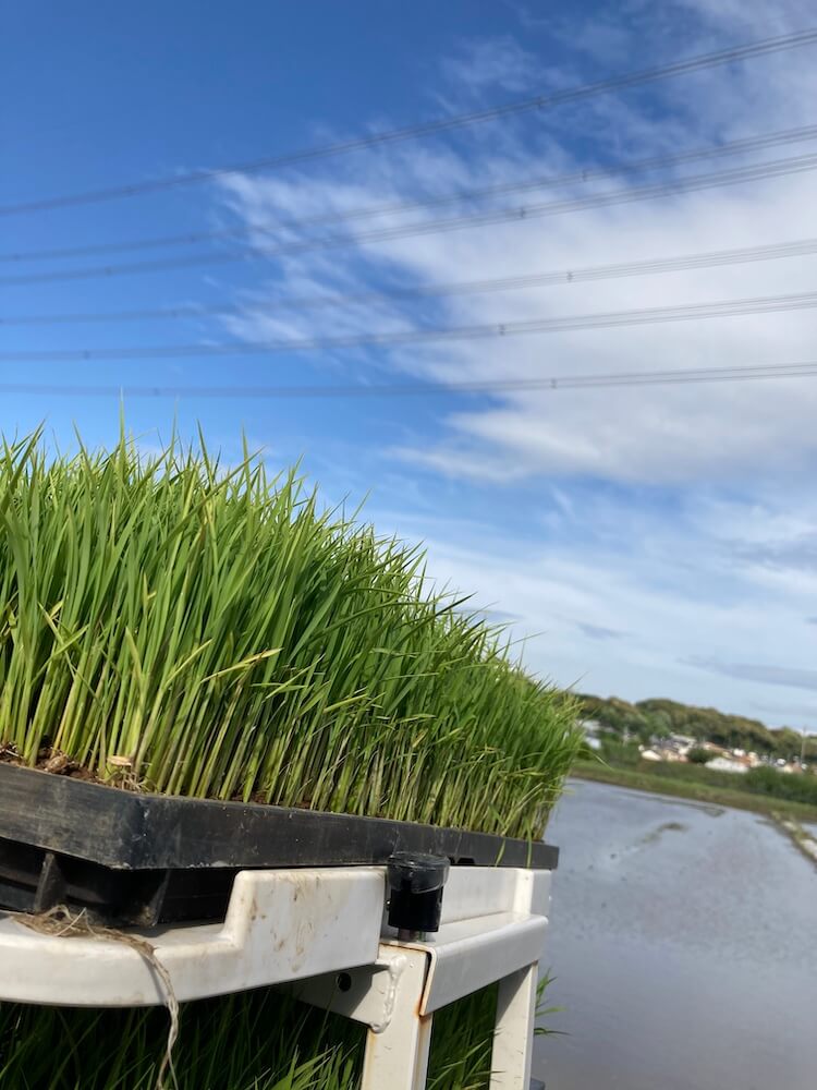 第6回マルナカマルシェ開催します！！〜初の二ヶ月連続マルシェ〜