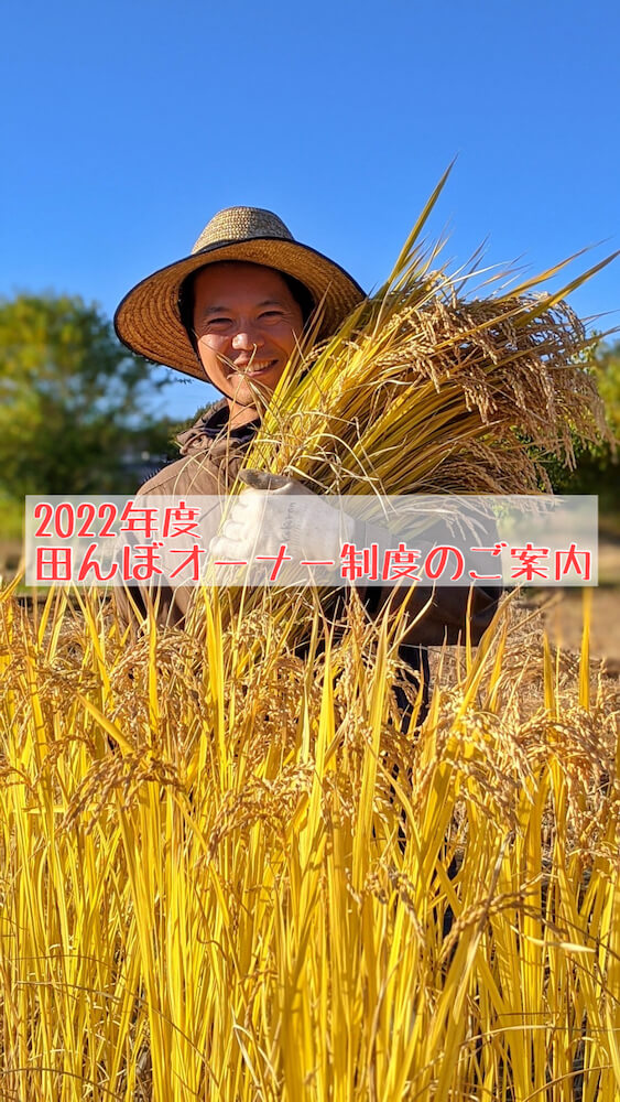 第6回マルナカマルシェ開催します！！〜初の二ヶ月連続マルシェ〜