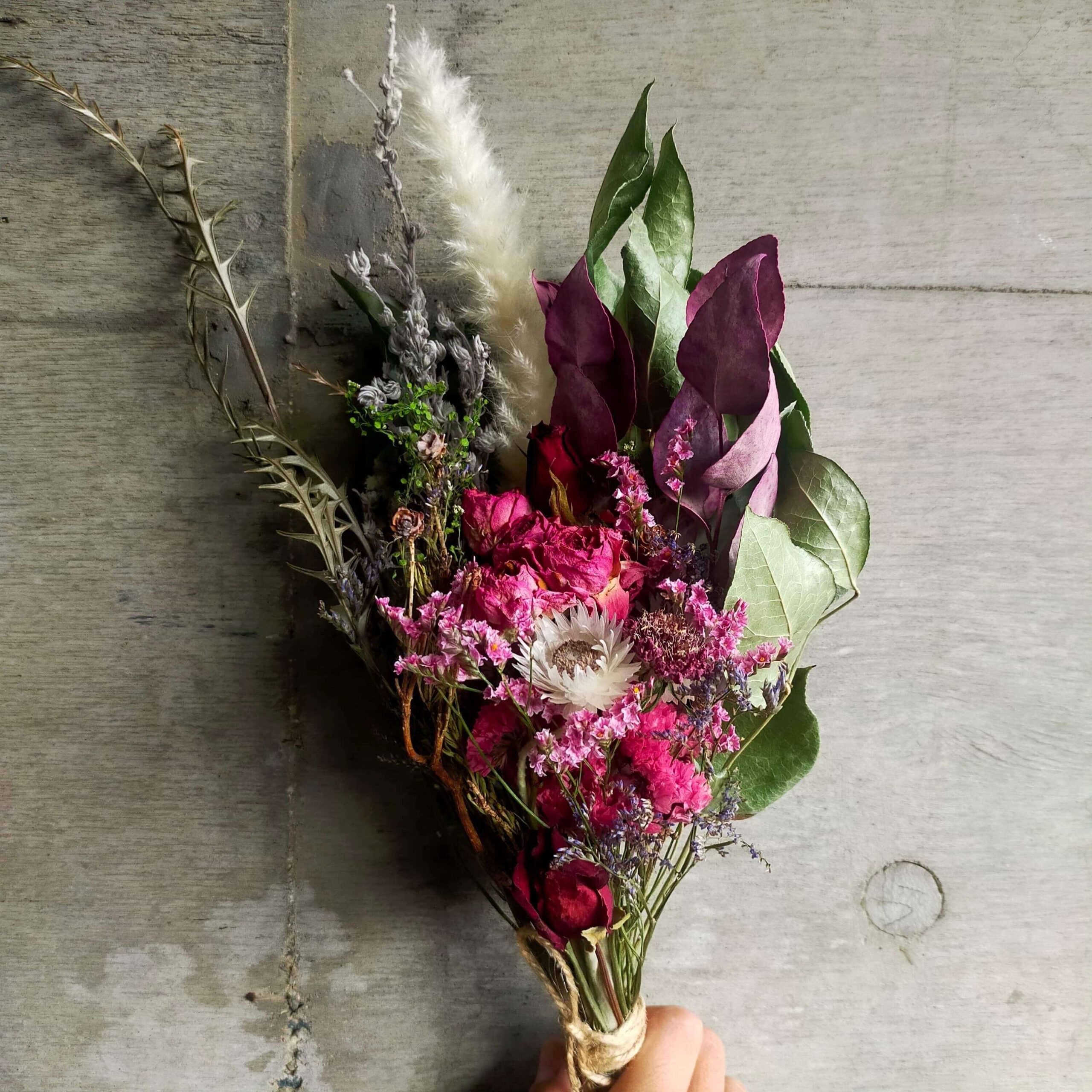 第6回マルナカマルシェ開催します！！〜初の二ヶ月連続マルシェ〜