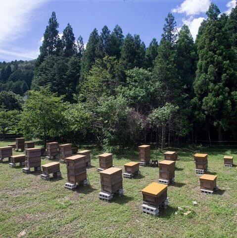 第7回マルナカマルシェ開催します!